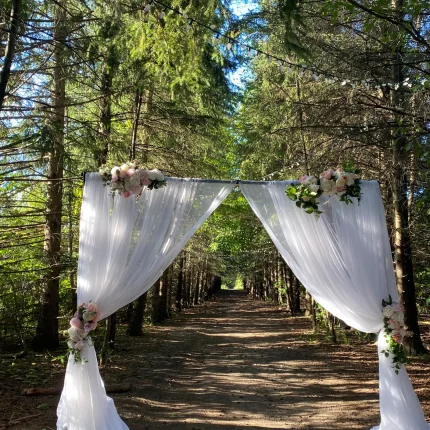 Arch + Drapes